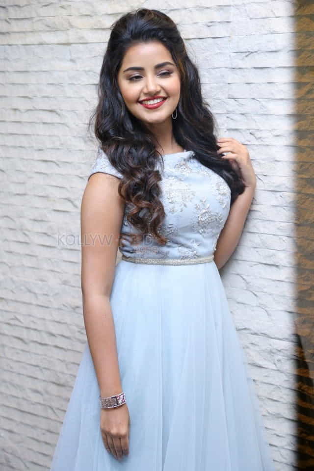 Malayalam Actress Anupama Parameswaran New Pictures