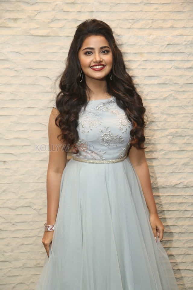 Malayalam Actress Anupama Parameswaran New Pictures