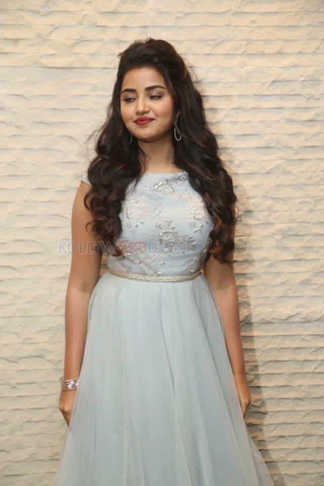 Malayalam Actress Anupama Parameswaran New Pictures