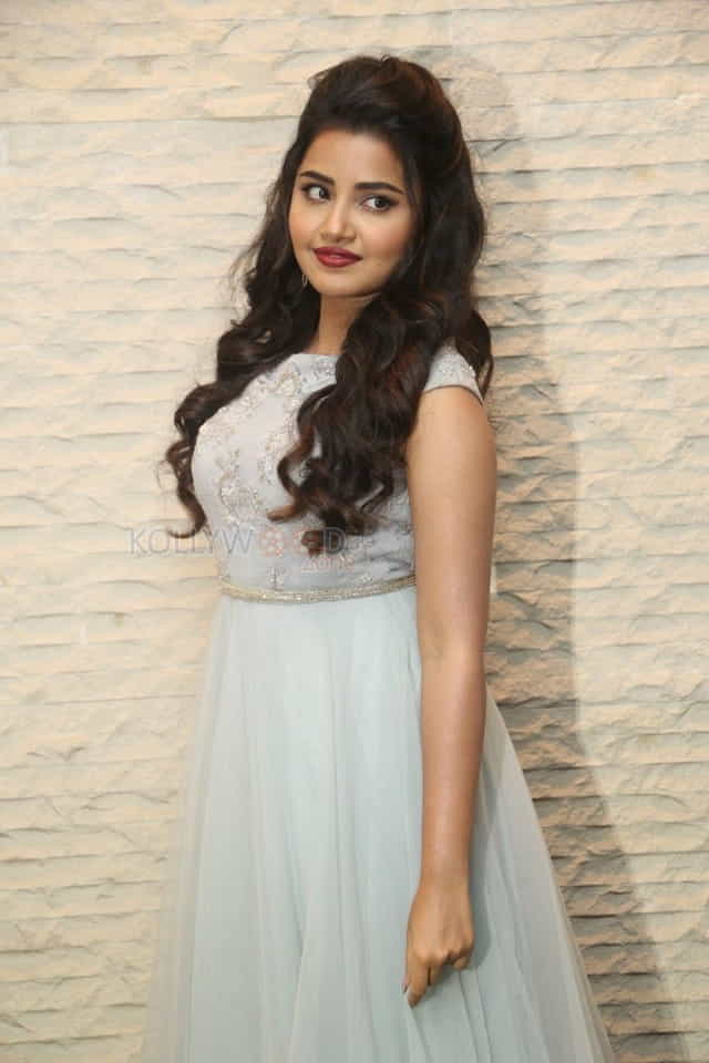 Malayalam Actress Anupama Parameswaran New Pictures