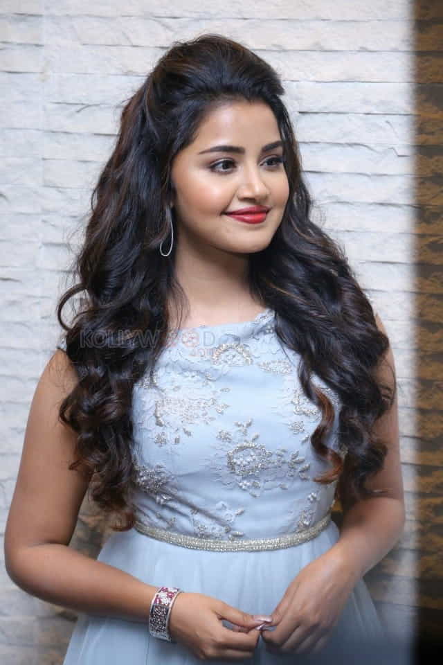 Malayalam Actress Anupama Parameswaran New Pictures