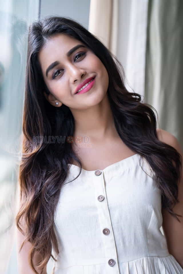 Nabha Natesh Hot New Photos