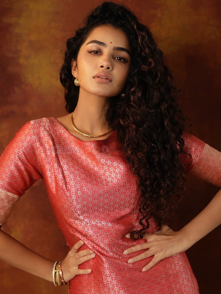 Natural Beauty Anupama Parameswaran in a Traditional Red Silk Sharara Photos 07