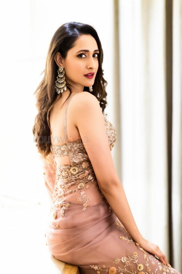 Pragya Jaiswal Hot Saree Photoshoot Pictures