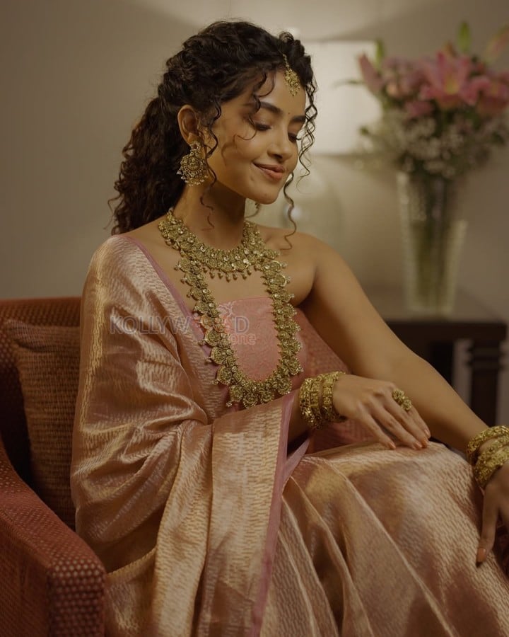 Radiant Anupama Parameswaran in a Golden Pink Silk Saree with a Strapless Blouse Photos 01