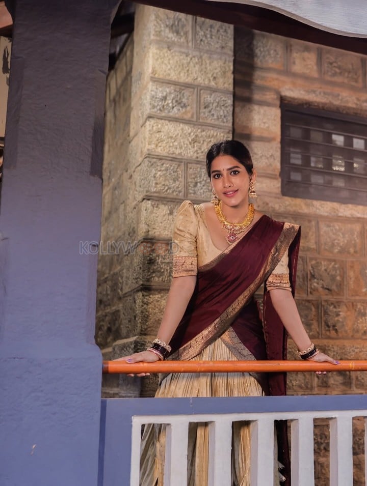 Radiant Nabha Natesh in a Traditional Maroon and Gold Half Saree Photos 02