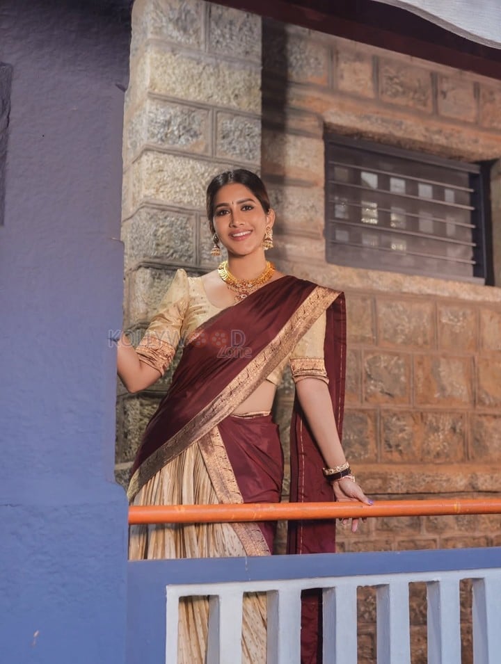 Radiant Nabha Natesh in a Traditional Maroon and Gold Half Saree Photos 04