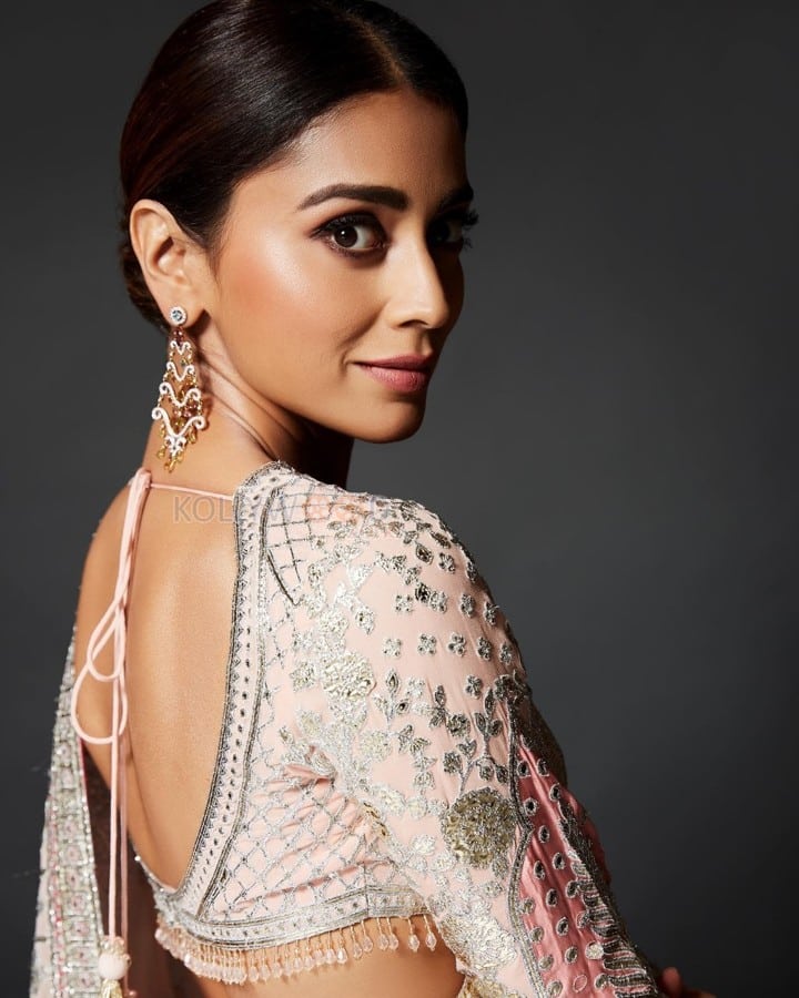 Sensual Shriya Saran in a Pink Pastel Saree Photos 05