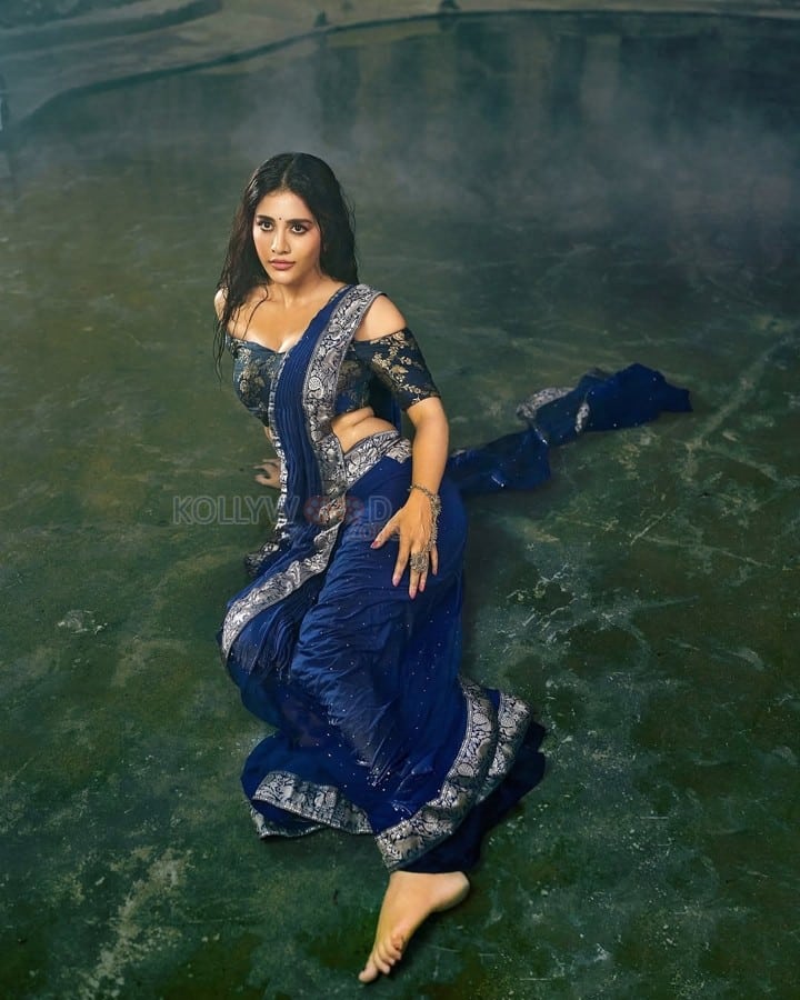 Sexy Beauty Nabha Natesh in a Deep Blue Saree with a Shimmering Silver Border Photos 06