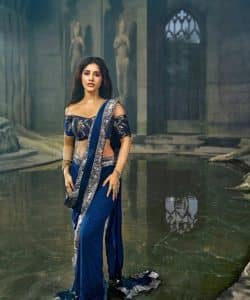 Nabha Natesh