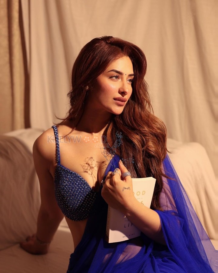 Sexy Hot Mahira Sharma in a Blue Saree with Designer Sleeveless Blouse Photos 05
