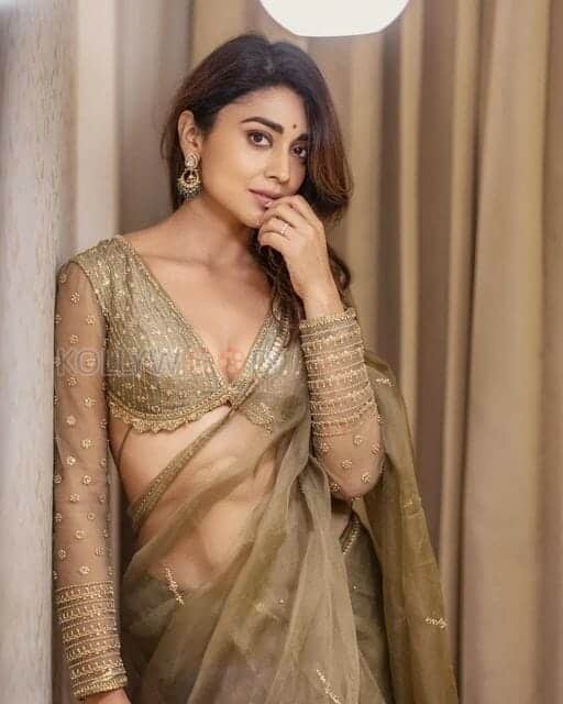 Sexy Hot Shriya Saran in Saree Photos 03