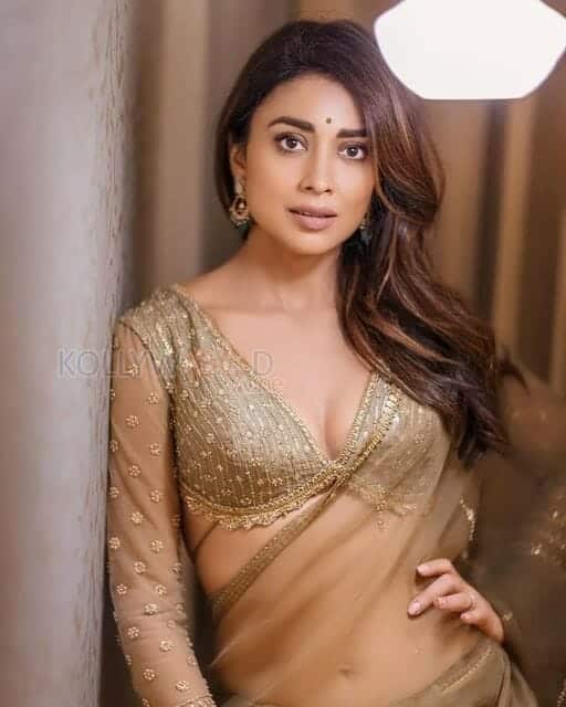 Sexy Hot Shriya Saran in Saree Photos 04