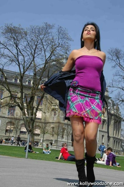 Sexy Shriya Saran In Don Seenu Movie Stills