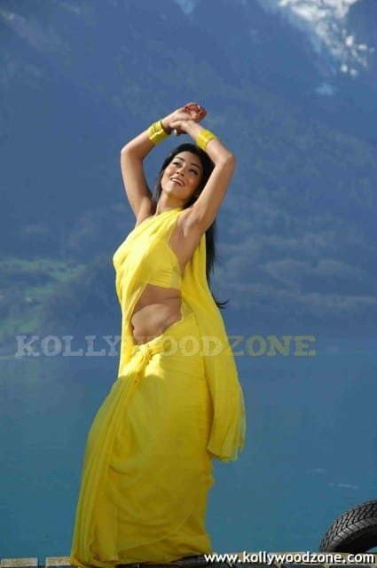 Sexy Shriya Saran In Don Seenu Movie Stills