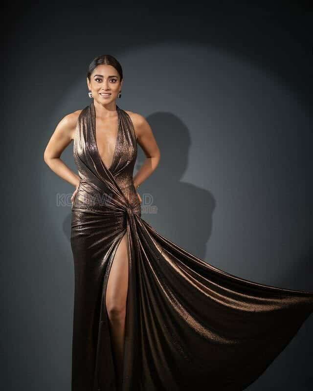 Sexy Shriya Saran in a Golden Dress Pictures 04