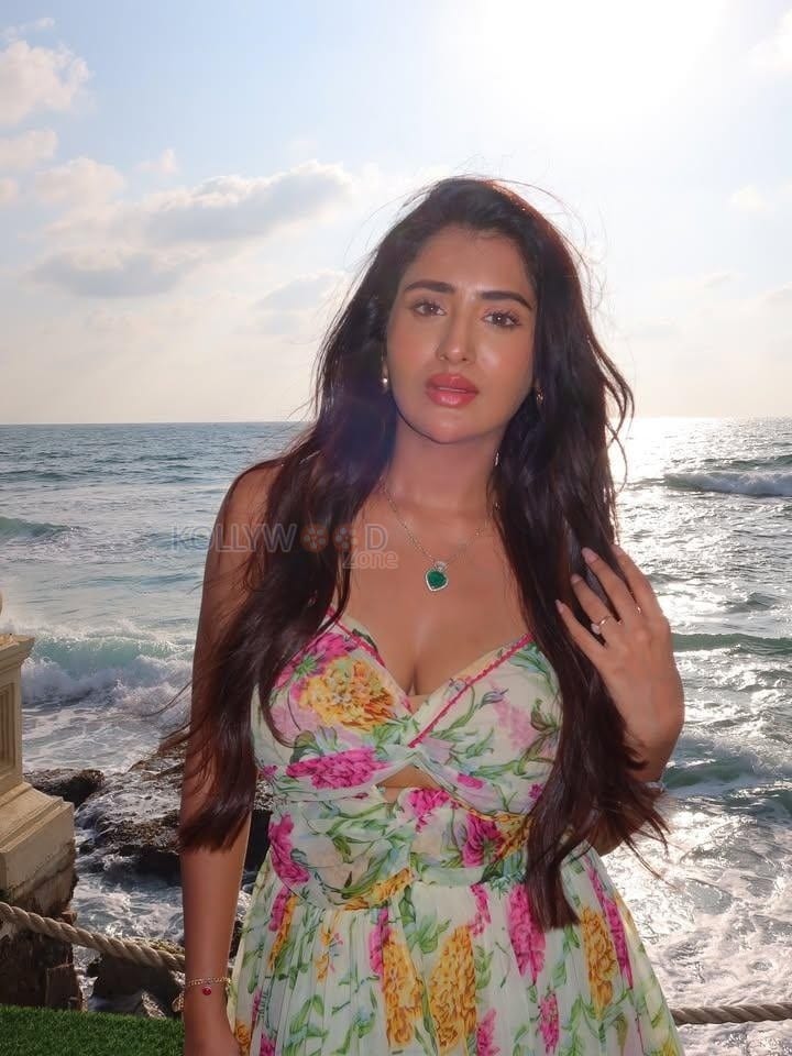 Sexy Telugu Actress Rashi Singh in a Light Pink and Yellow Printed Sleeveless Maxi Dress Photos 01