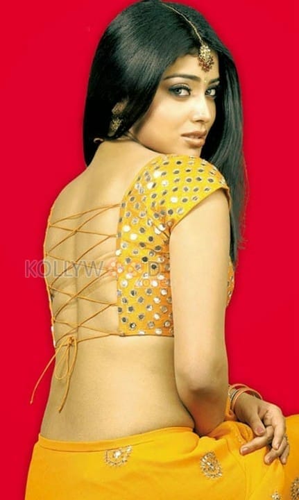 Shriya Saran Hot Photos