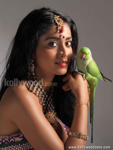 Shriya Saran Hot Pictures In Chandra Movie