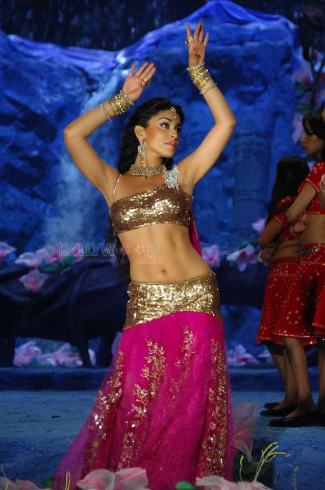 Shriya Saran Traditional Song and Dance Navel Photos 03