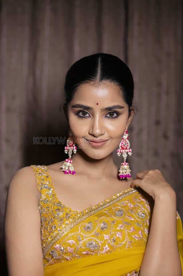 Siren Heroine Anupama Parameswaran Cute Saree Photoshoot Pictures 02