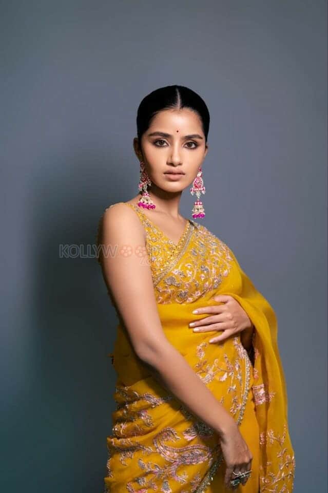 Siren Heroine Anupama Parameswaran Cute Saree Photoshoot Pictures 06