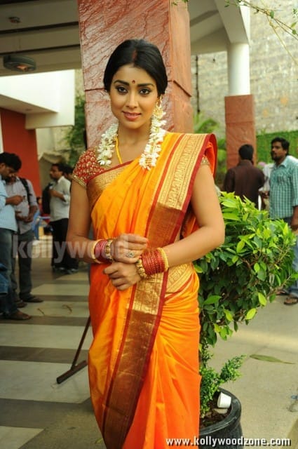 South Indian Heroine Shriya Pictures