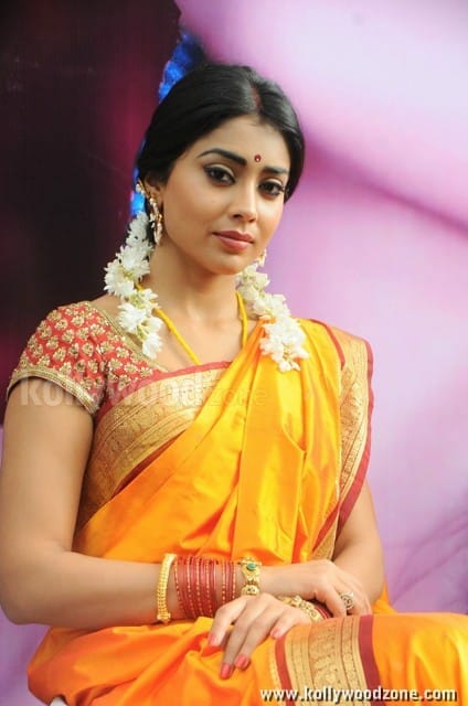 South Indian Heroine Shriya Pictures