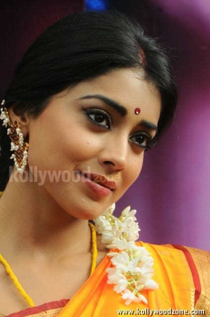 South Indian Heroine Shriya Pictures