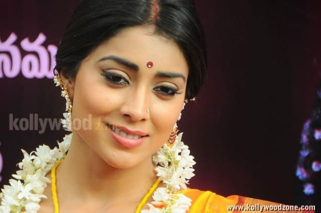 South Indian Heroine Shriya Pictures