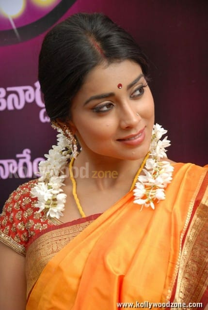 South Indian Heroine Shriya Pictures