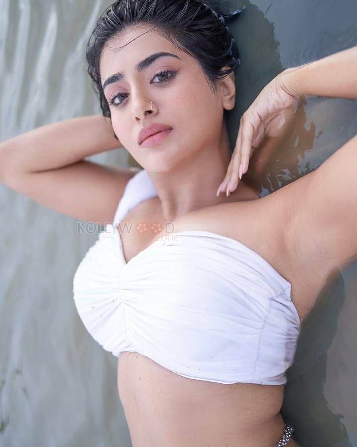 Stunning Kannada Heroine Rashi Singh in a White Strapless Blouse and Saree Pictures 01