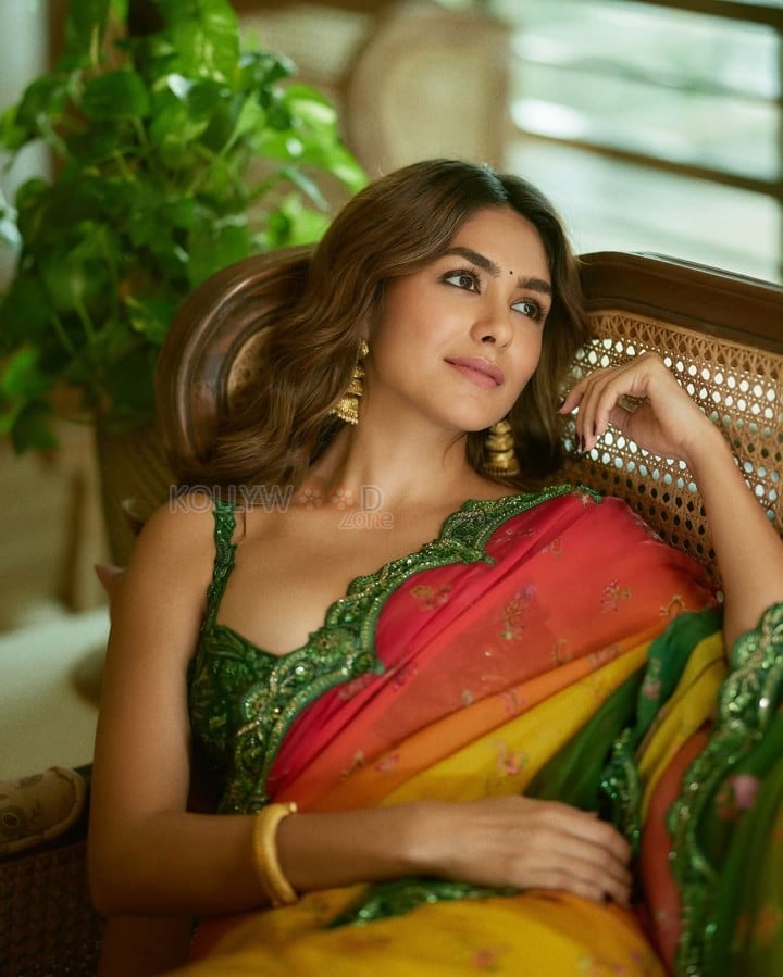 Stunning Mrunal Thakur in a Multicoloured Saree with a Green Blouse Pictures 06