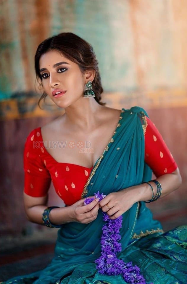 Stunning Nabha Natesh Half Saree Hot Cleavage Photoshoot Pictures