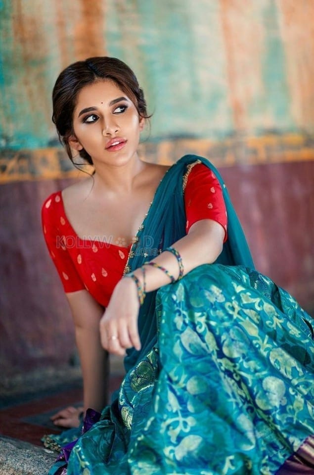 Stunning Nabha Natesh Half Saree Hot Cleavage Photoshoot Pictures
