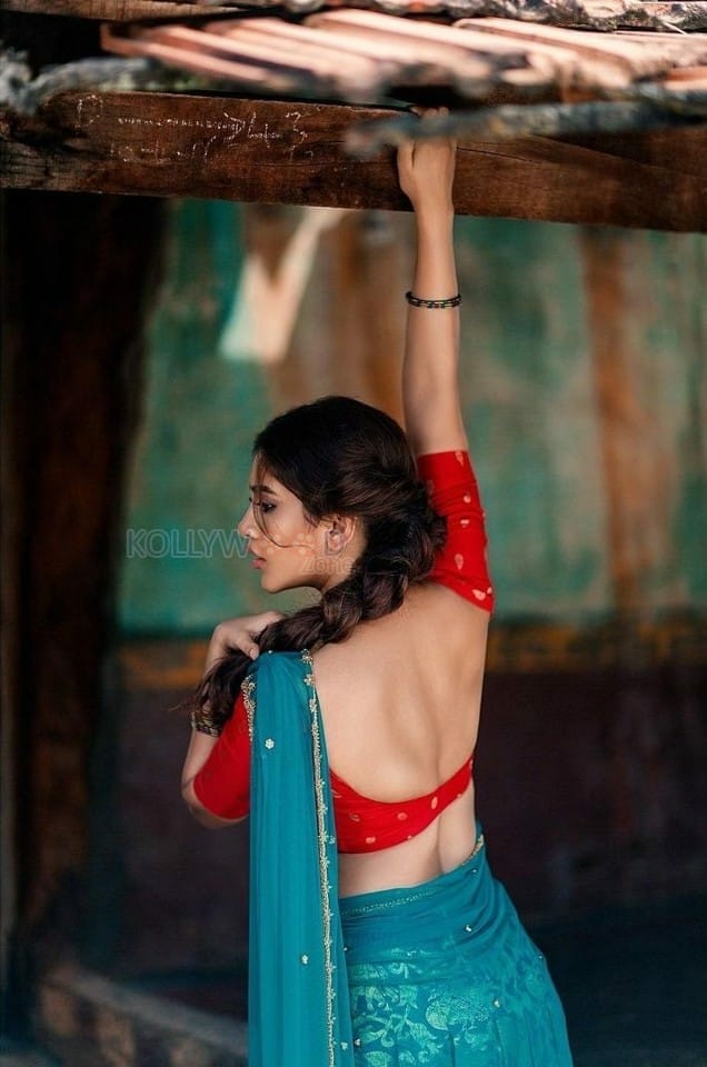 Stunning Nabha Natesh Half Saree Photoshoot Stills
