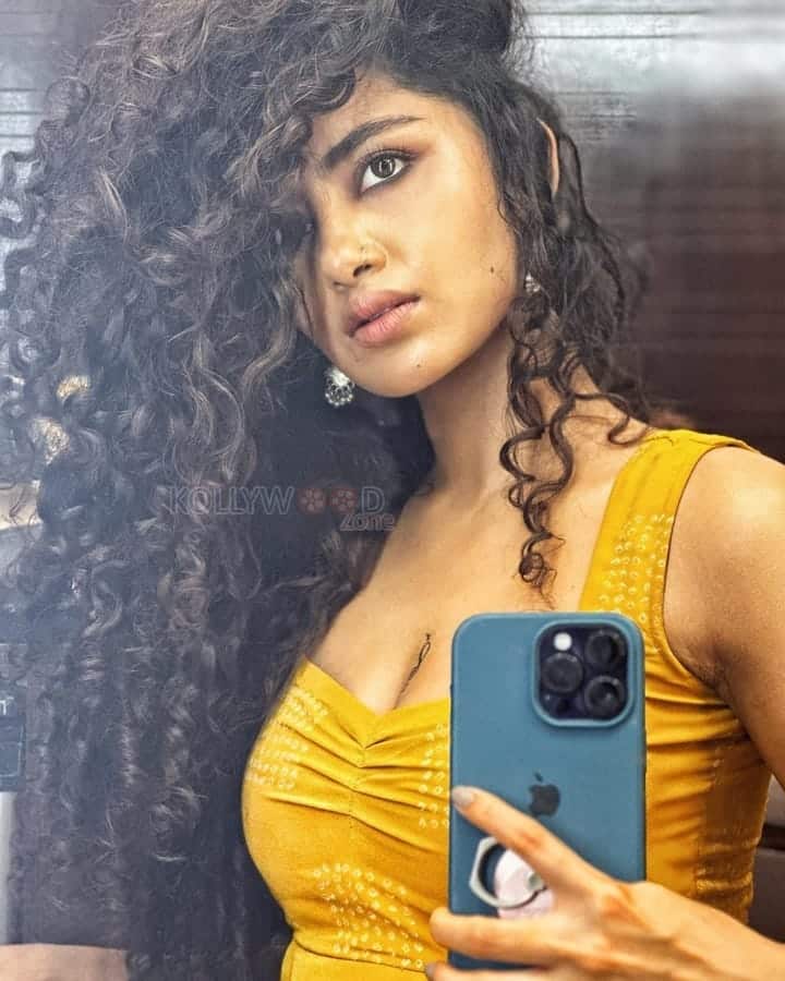 Super Anupama Parameswaran Mirror Selfie Pictures 02