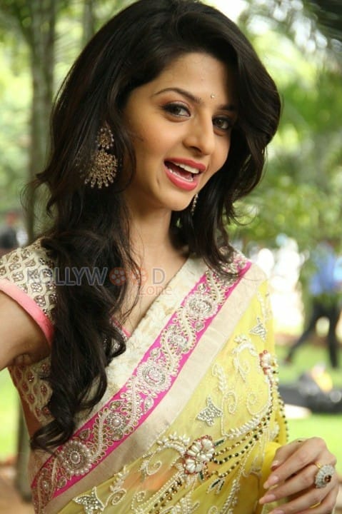 Tamil Actress Vedhika Saree Pics