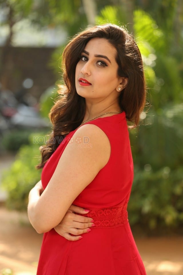 Television Anchor Manjusha At Padi Padi Leche Manasu Movie Thanks Meet Photos