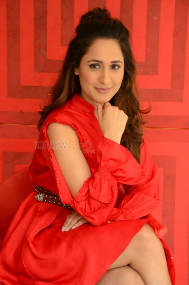 Telugu Actress Pragya Jaiswal Interview Pictures