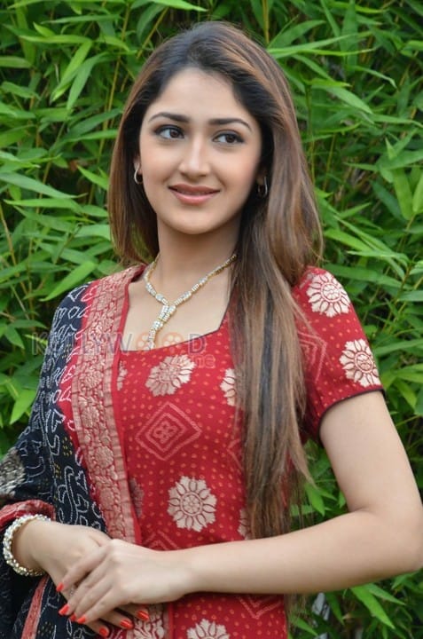 Telugu Actress Sayesha New Pictures