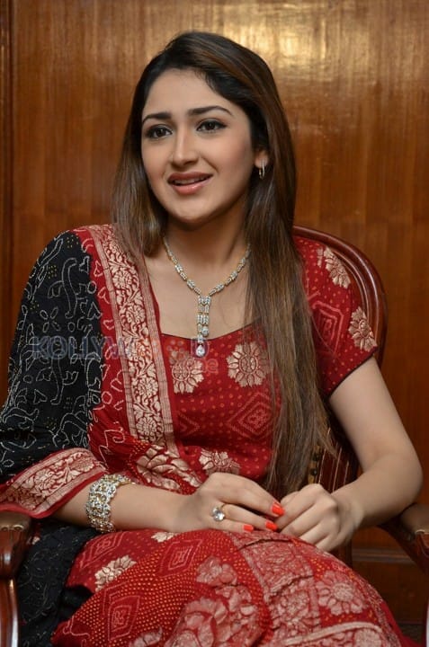 Telugu Actress Sayesha New Pictures