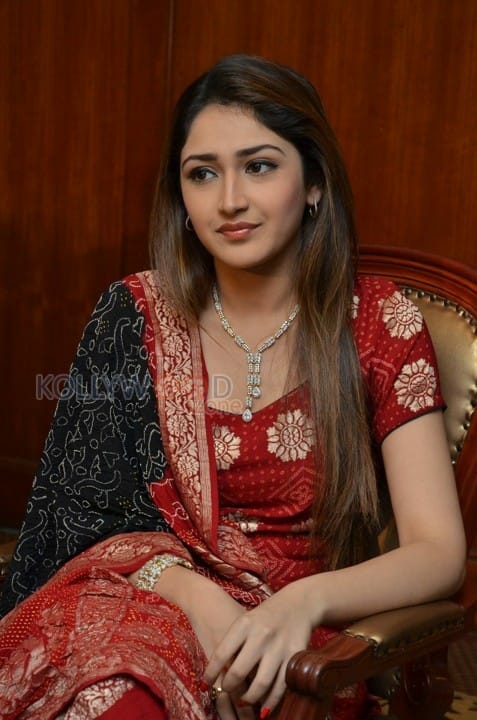 Telugu Actress Sayesha New Pictures