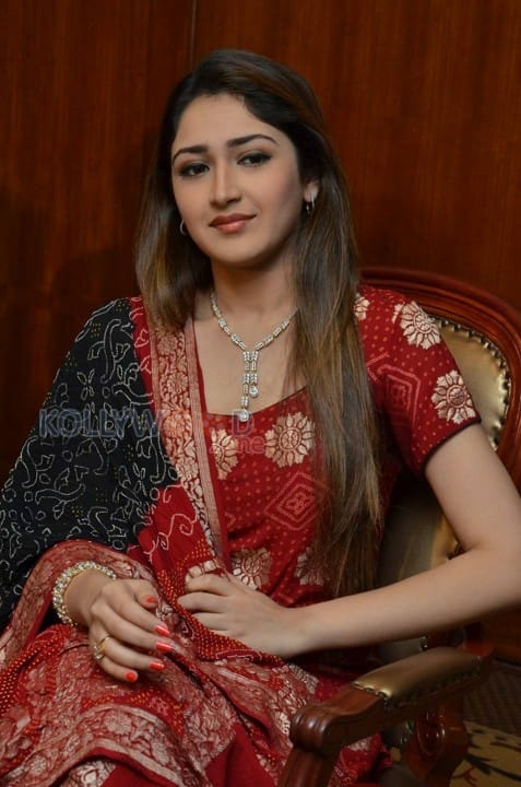 Telugu Actress Sayesha New Pictures