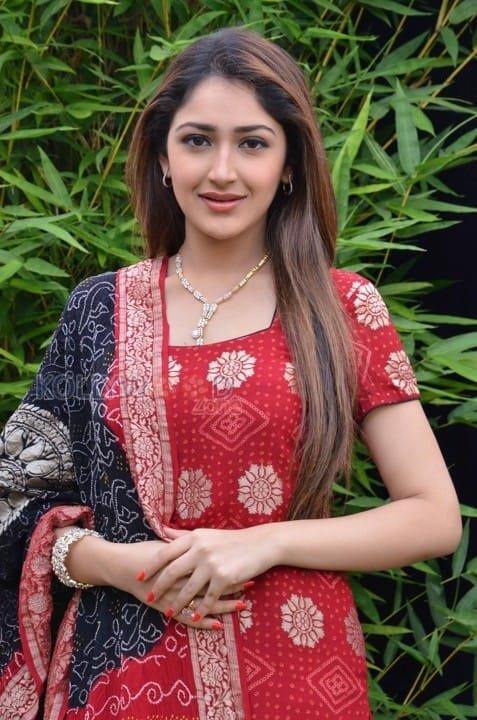 Telugu Actress Sayesha New Pictures