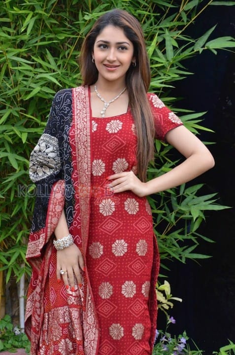 Telugu Actress Sayesha New Pictures