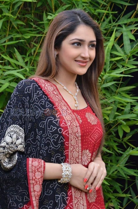 Telugu Actress Sayesha New Pictures