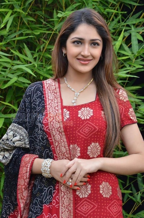 Telugu Actress Sayesha New Pictures