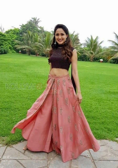 Telugu Film Actress Pragya Jaiswal Pictures