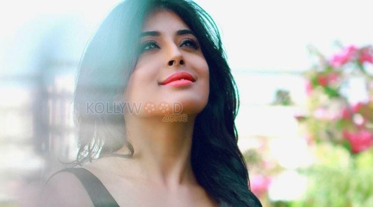 Tv Actress Kritika Kamra Photos